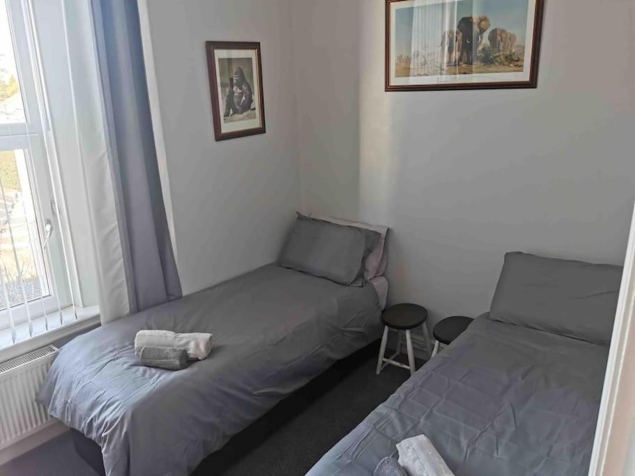 Apartament Number 7 Torquay Stunning Sea Views Zewnętrze zdjęcie