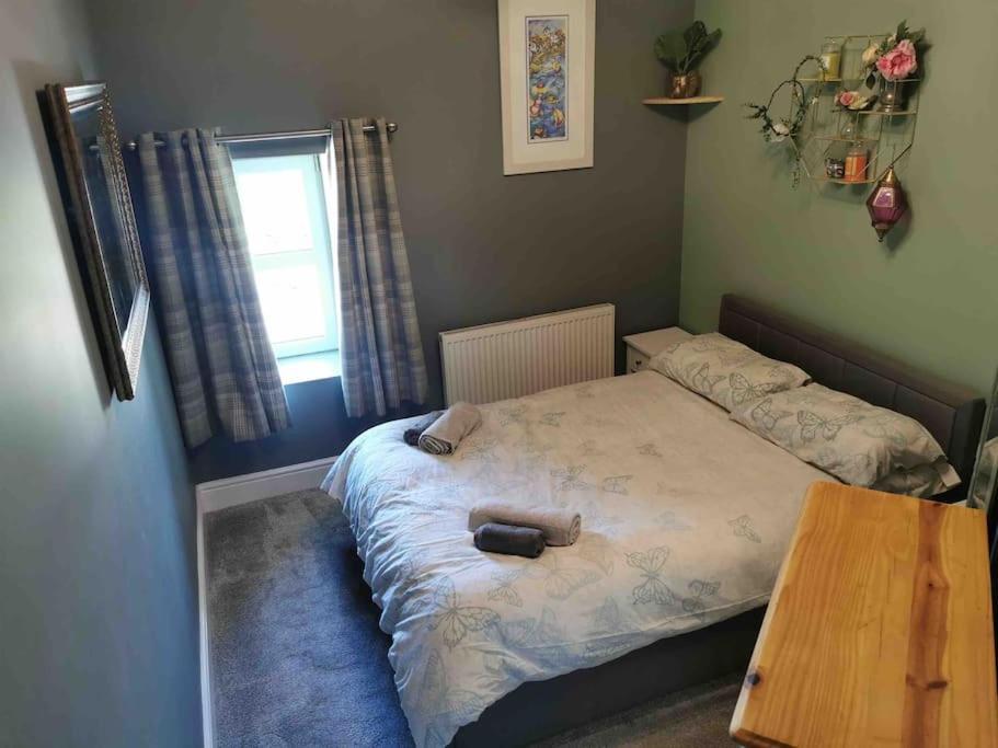 Apartament Number 7 Torquay Stunning Sea Views Zewnętrze zdjęcie